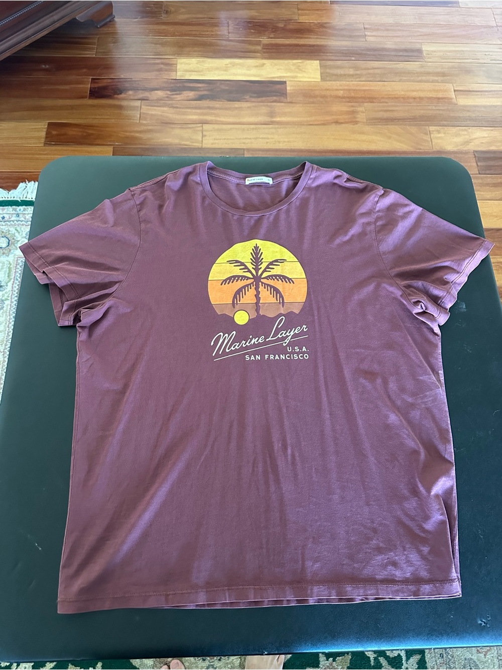 Marine Layer Men’s Maroon Graphic T-Shirt - Palm Sunset XL

White mark on shirt